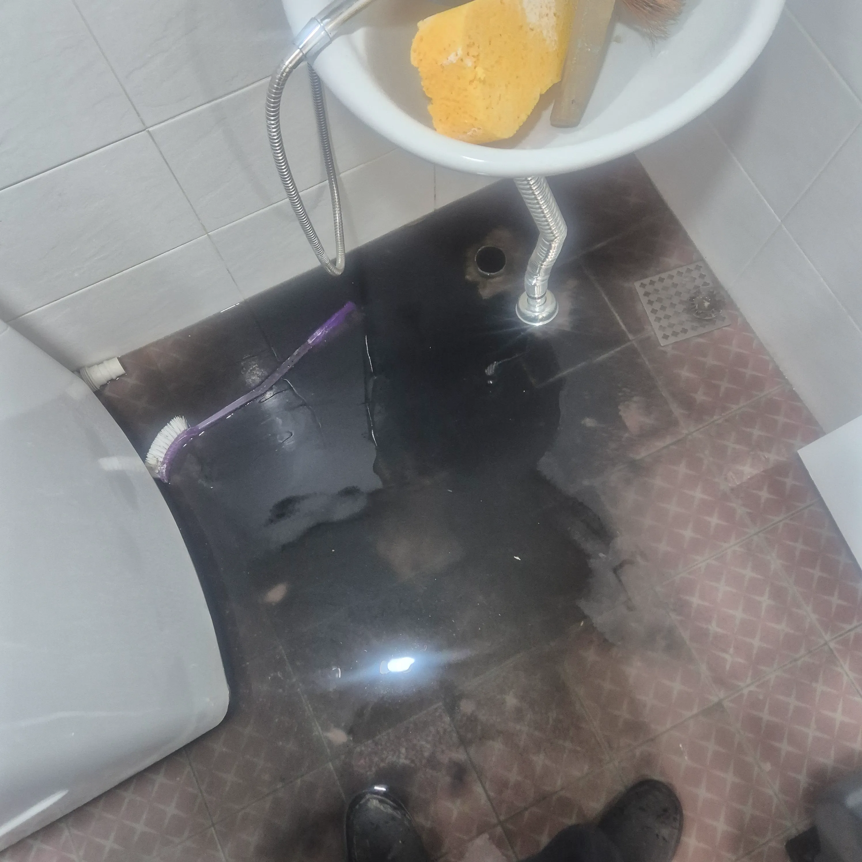제물포구 화장실 바닥 하수구 역류 현장