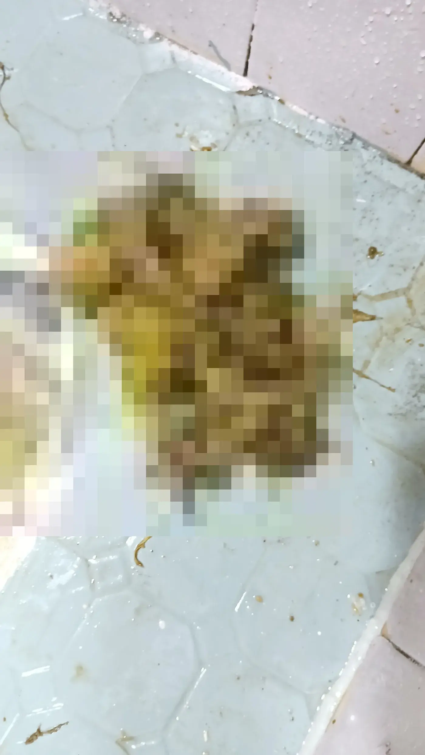 주안동 빌라 오수관에서 끌어낸 물티슈 뭉치